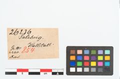 Etikett zu Bronzebogenfibel (NHMW-PRAE-026236)